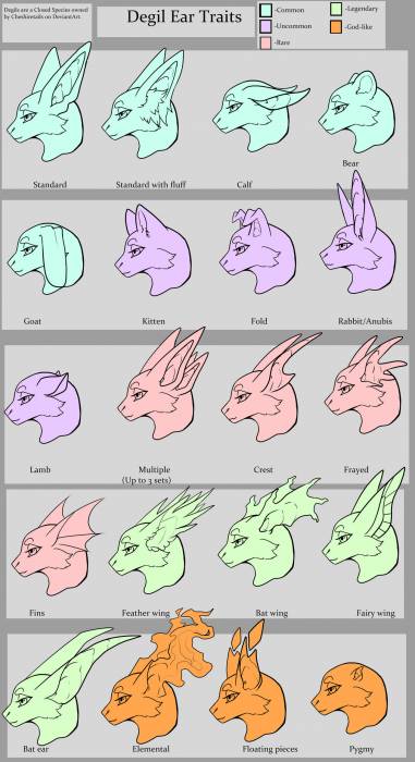 degil-earguide-traits.jpg degil-earguide-traits.jpg