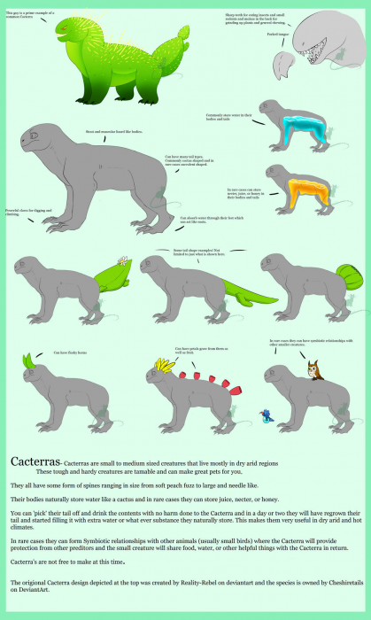 cacterra_ref_sheet.png cacterra_ref_sheet.png