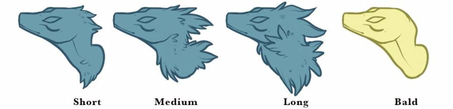 fetter-maneguide-traits.jpeg fetter-maneguide-traits.jpeg