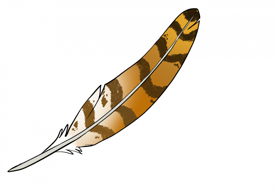 soft_feather.png soft_feather.png