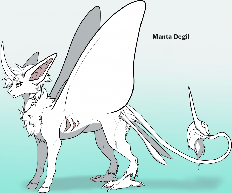 manta_degil_words.png manta_degil_words.png