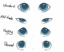Fetterlings Eye Shape Rarity Guide (Click for Larger View)