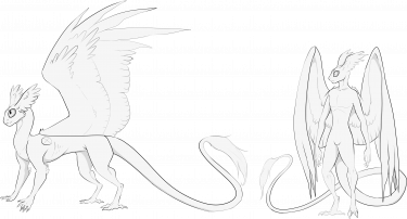 Avian Variant Seetra (Click for Larger Image)