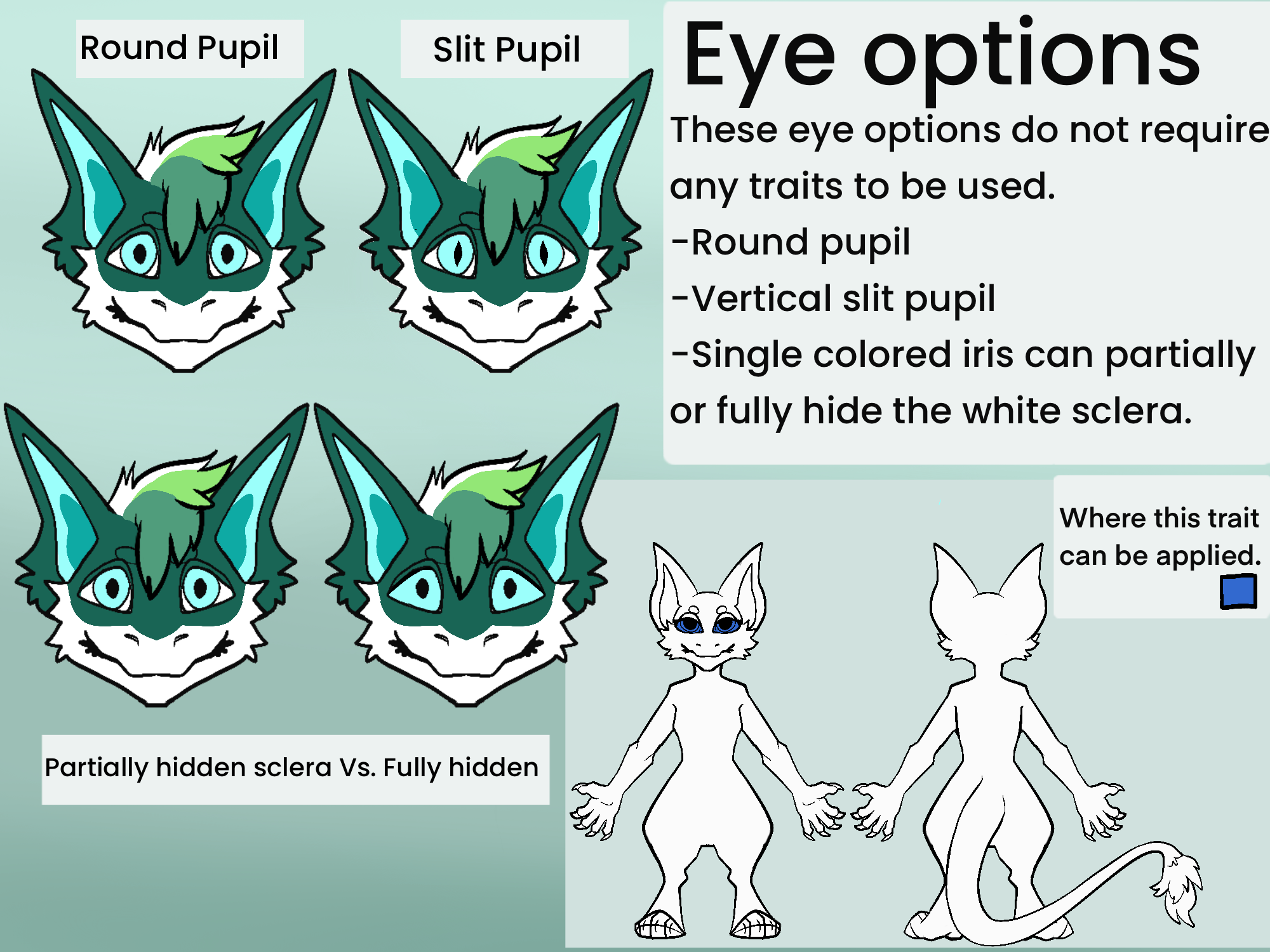 eye_options.png