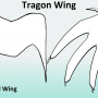 tragonwingview.png