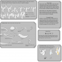 seetra-generaltraits-traits.png