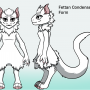 fettan_condensed_form_site.png