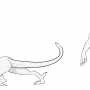 seetra-commonvariant-lore.png
