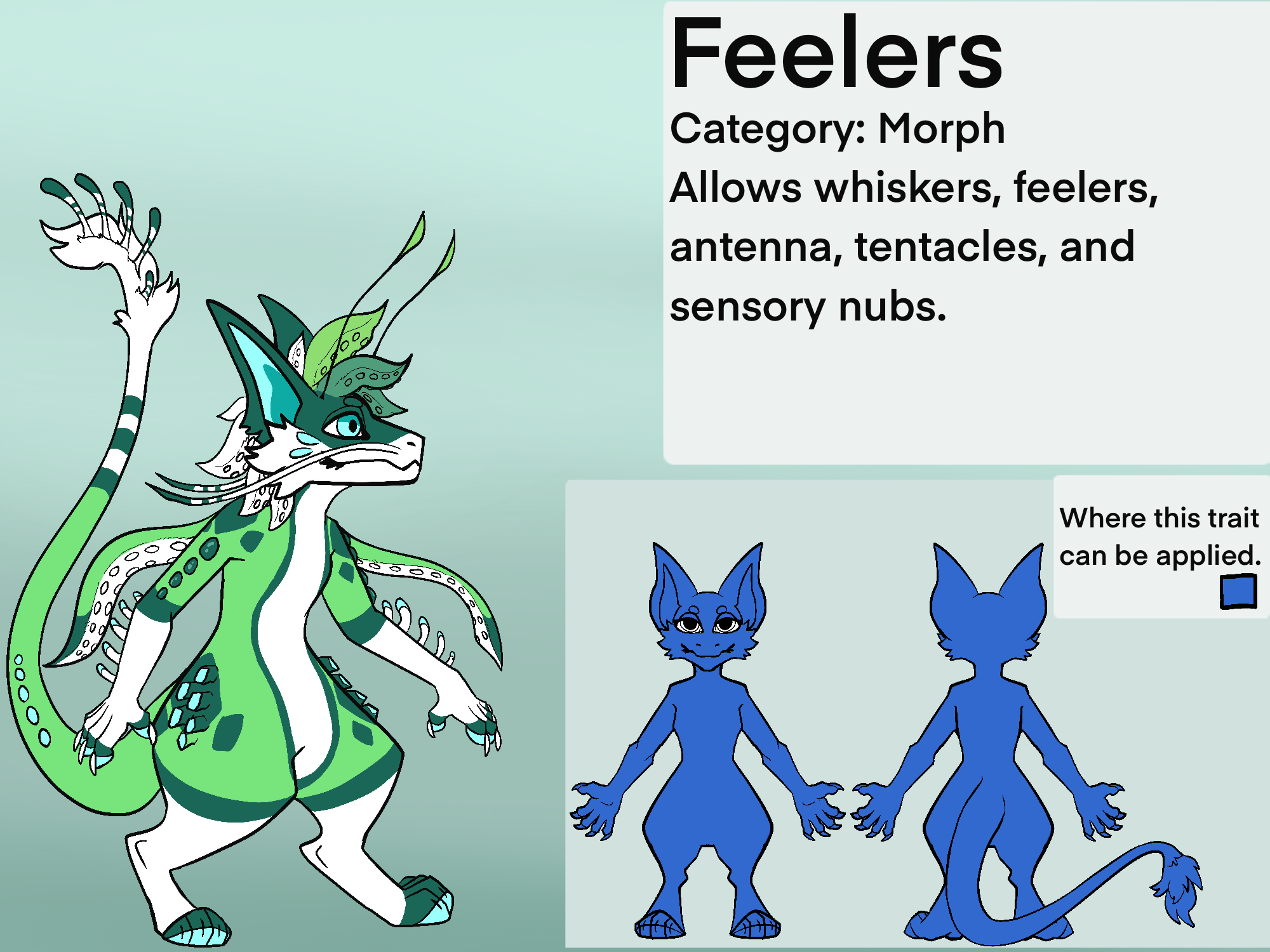 feelers.png