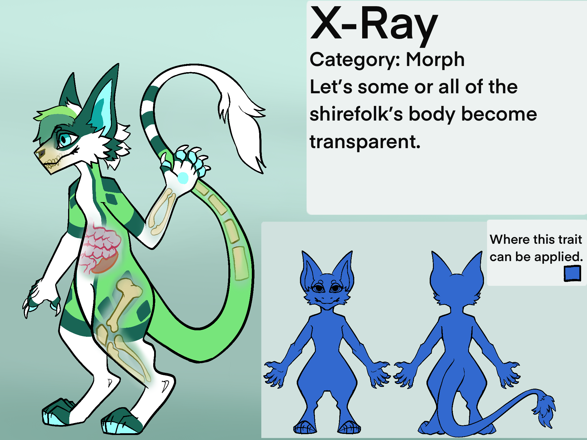 x-ray.png
