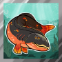 2armor_head_salmon.png