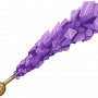 rock_candy.png
