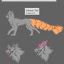 fetter-kenpolocrossguide-traits.jpg