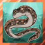 eyelash_rock_eel.png