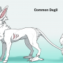 common_degil_words.png