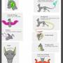 seetra-rareguide-traits.jpg