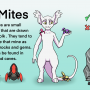 mini_mites_banner.png