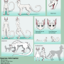 offical_fetter_reff_sheet_v.2.png
